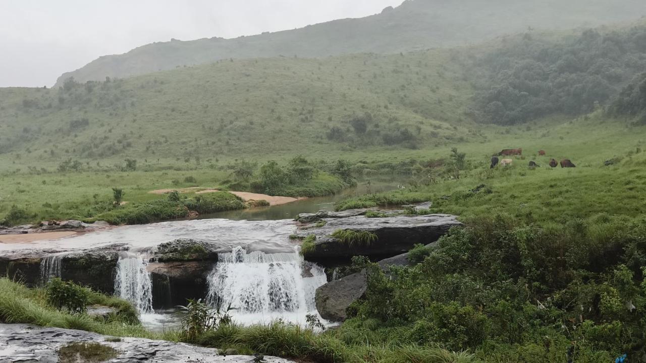 Lavender Guesthouse Cherrapunji Bagian luar foto