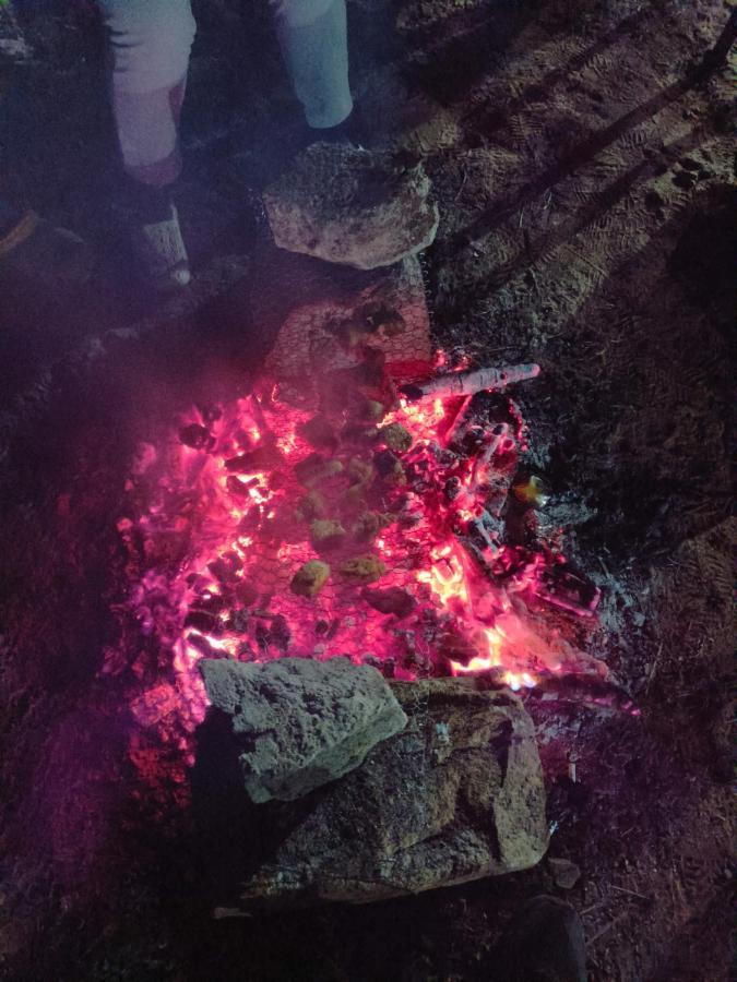 Lavender Guesthouse Cherrapunji Bagian luar foto